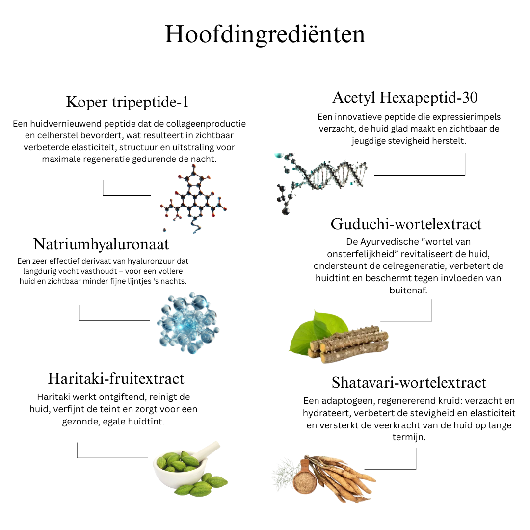 Night Repair Multi‑Peptide Gezichtsserum voor een collageenboost, diepe hydratatie en vernieuwde uitstraling