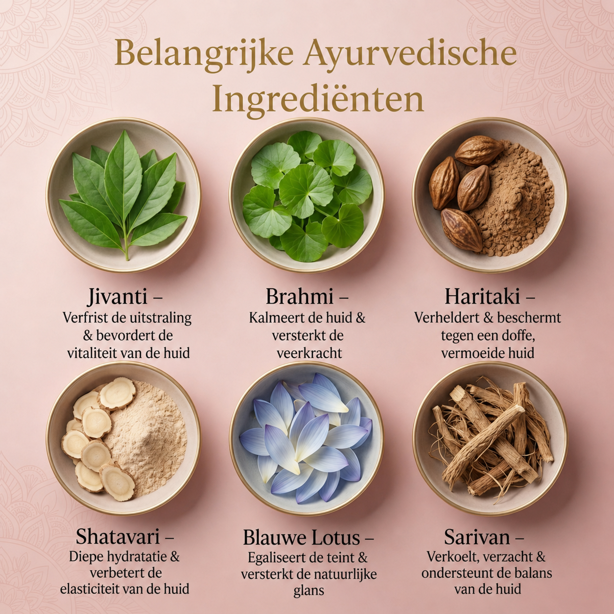 8-kruiden Ayurvedisch Radiance Dagserum met Syn-Ake peptide voor diepe hydratatie, een hele dag glow en zichtbaar verstevigend effect